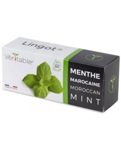 Пълнител Veritable - Lingot, Мароканска мента, без ГМО - 1