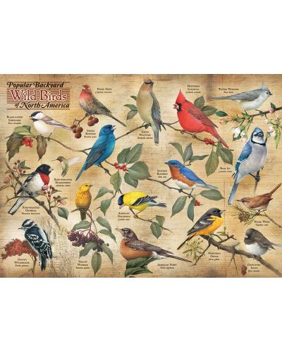 Пъзел Cobble Hill от 1000 части - Птиците в Северна Америка - 2