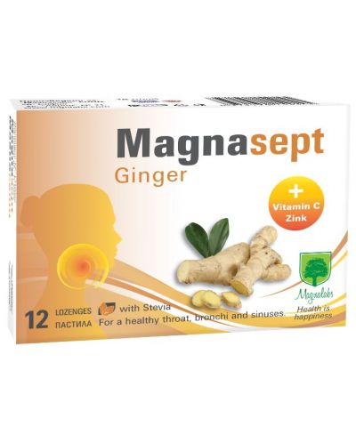 Magnasept, Ginger, 12 пастила, Magnalabs - 1