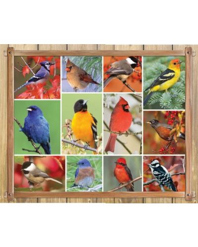 Пъзел Springbok от 1000 части - Сладки птички - 1