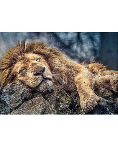 Пъзел Trefl от 1000 части - Спящ лъв - 2