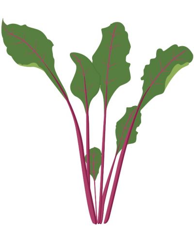 Пълнител Veritable - Lingot, Листа цвекло, без ГМО - 3