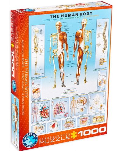 Пъзел Eurographics от 1000 части – Човешкото тяло - 1