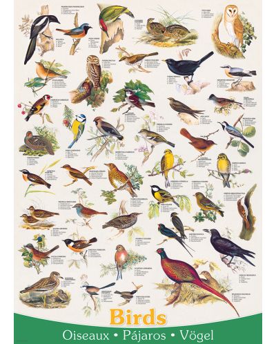 Пъзел Eurographics от 1000 части – Птици в полята и градините - 2