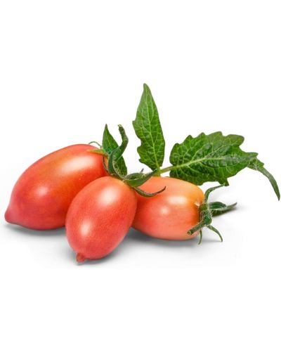 Пълнител Veritable - Lingot, Розови мини домати, без ГМО - 2