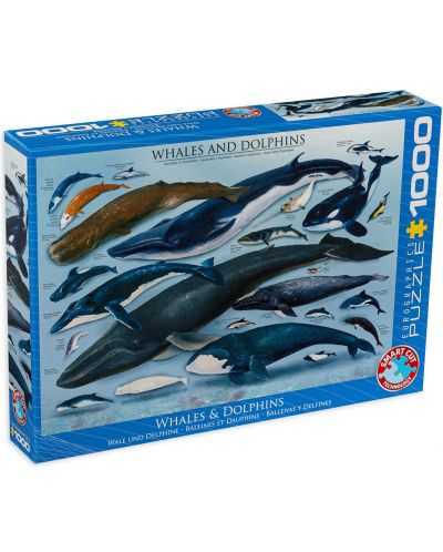 Пъзел Eurographics от 1000 части – Китове и Делфини - 1