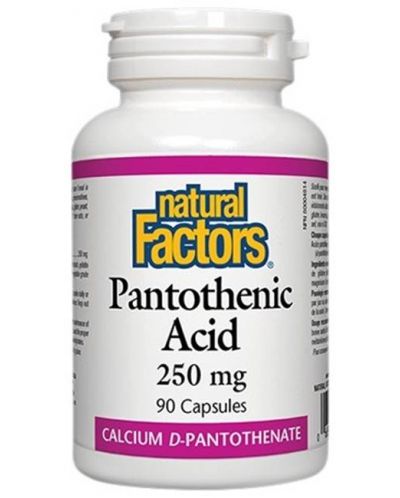 Pantothenic Acid, 250 mg, 90 капсули, Natural Factors - 1