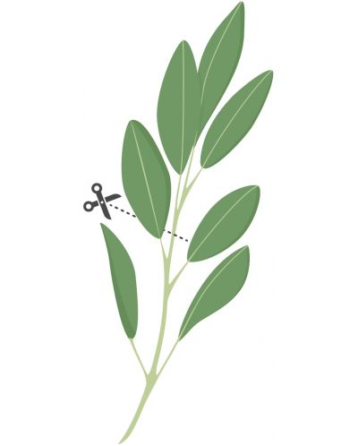 Пълнител Veritable - Lingot, Градински чай листа, без ГМО - 4