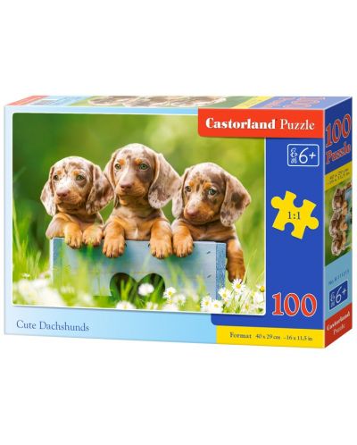 Пъзел Castorland от 100 части - Сладки кученца - 1
