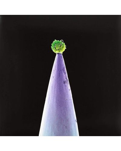 Peter Gabriel - New Blood (CD)