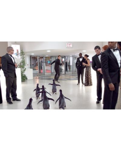 Пингвините на Мистър Попър (Blu-Ray) - 11