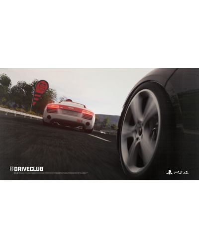 Sony PlayStation 4 & DRIVECLUB Bundle - 19