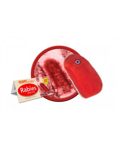 Плюшена играчка Бяс (Rabies Virus) - 2