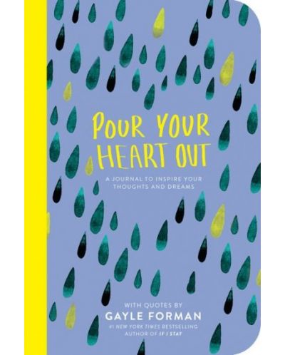 Pour Your Heart Out (Gayle Forman) - 1