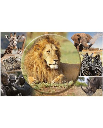 Подложка за бюро Herma - Африкански животни - 1