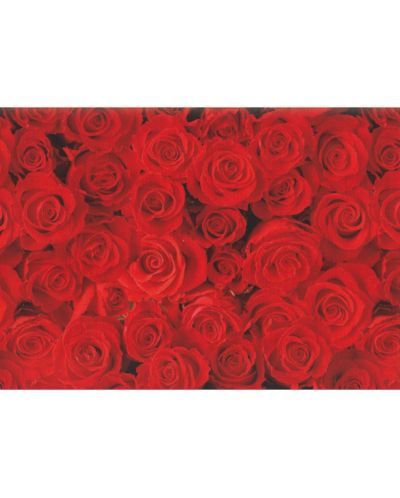 Подаръчна хартия Susy Card - Червени рози, 70 x 200 cm - 1