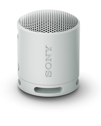 Портативна колонка Sony - SRS-XB100, сива - 1