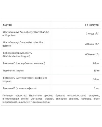 Пробиен Гастро Синбиотик, 20 капсули, Fortex - 2