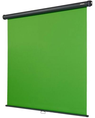 Проекторен екран celexon - Rollo Chroma Key, 108.6'', зелен - 1