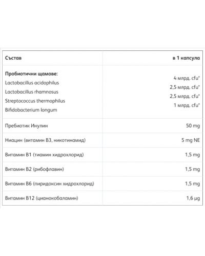 Пробиен B-комплекс Синбиотик, 10 капсули, Fortex - 2