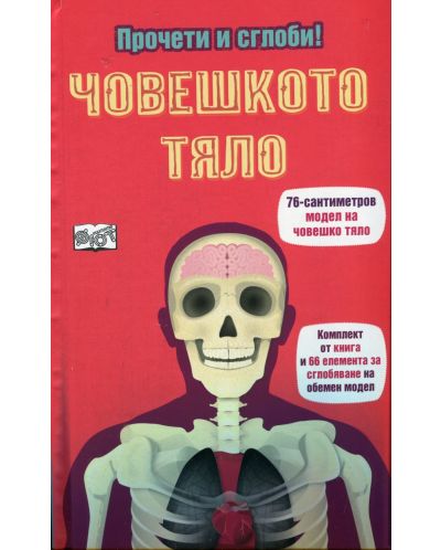 Човешкото тяло (Прочети и сглоби!)