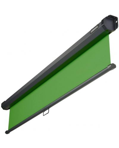 Проекторен екран celexon - Rollo Chroma Key, 108.6'', зелен - 2