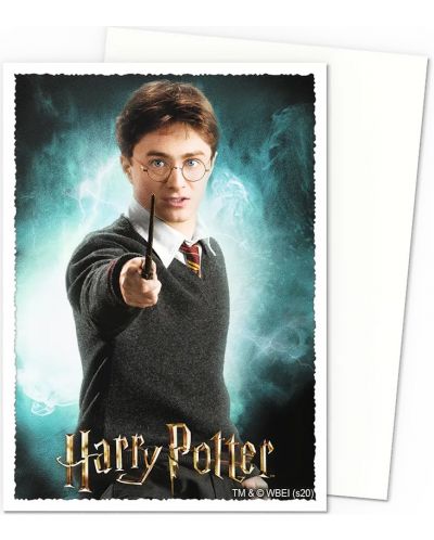 Протектори за карти Dragon Shield - Matte Art Sleeves Standard Size, Harry Potter (100 бр.) - 2