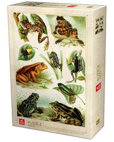 Пъзел Deico Games от 1000 части - Видове жаби