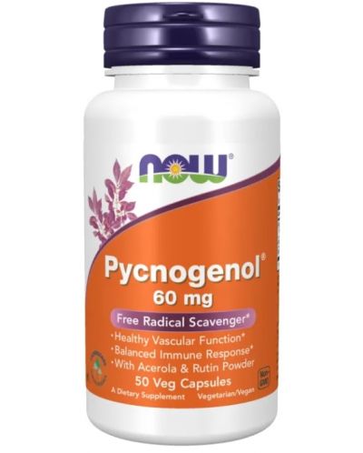 Pycnogenol, 50 капсули, Now - 1