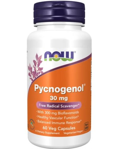 Pycnogenol, 60 капсули, Now - 1