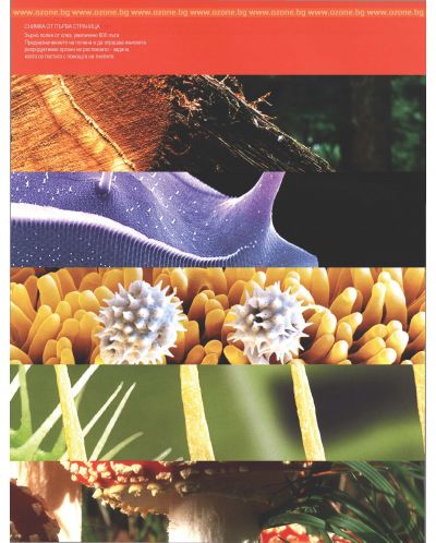 Илюстрована научна енциклопедия Британика: Растения, водорасли и гъби - 4