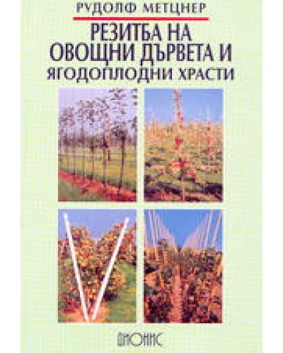 Резитба на овощни дървета и ягодоплодни храсти - 1