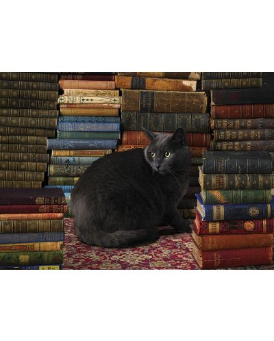 Пъзел Cobble Hill от 1000 части - Библиотечна котка - 2