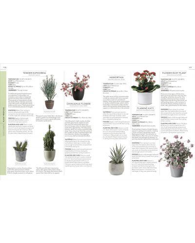 RHS Practical House Plant Book: Choose The Best, Display Creatively, Nurture and Care, 175 Plant Profiles - 6