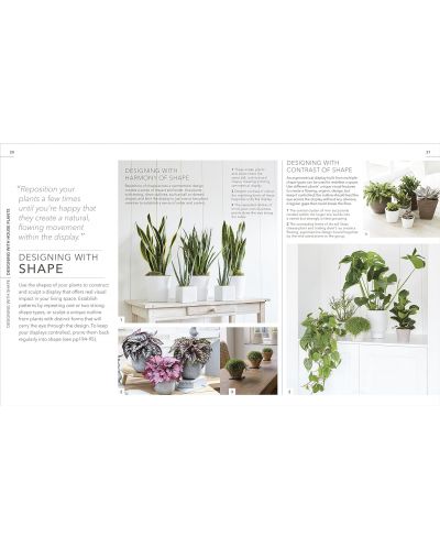 RHS Practical House Plant Book: Choose The Best, Display Creatively, Nurture and Care, 175 Plant Profiles - 2