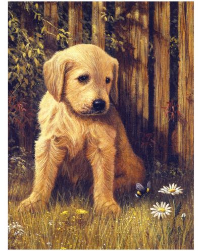 Рисуване по номера с акрилни бои Junior - Кученце - 1