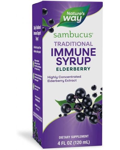Sambucus Traditional Immune Сироп с черен бъз, 120 ml, Nature's Way - 1