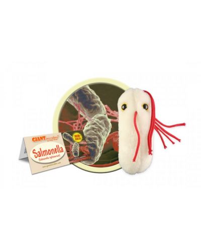 Плюшена играчка Салмонела (Salmonella typhimurium) - 2