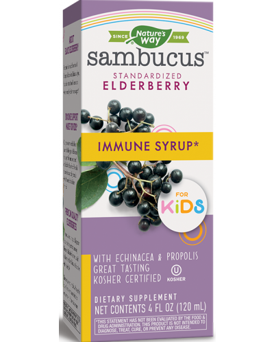 Sambucus Imunne Syrup за деца, 120 ml, Nature’s Way - 1