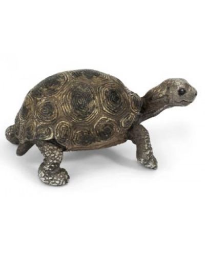 Фигурка Schleich от серията Дивия живот - Африка: Гигантска костенурка - бебе - 1