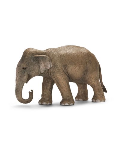 Фигурка Schleich от серията Дивия живот - Азия и Австралия: Индийски слон - женски - 1