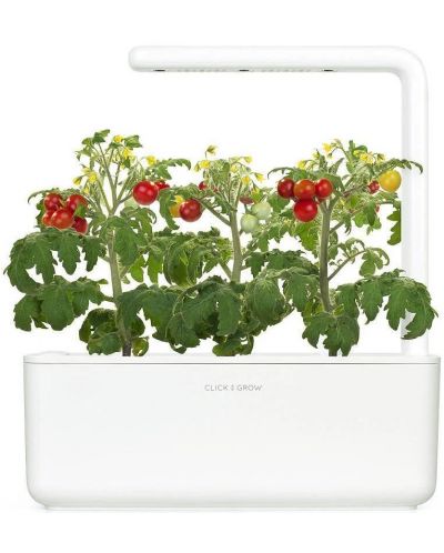Семена Click and Grow - Мини домати, 3 пълнителя - 3