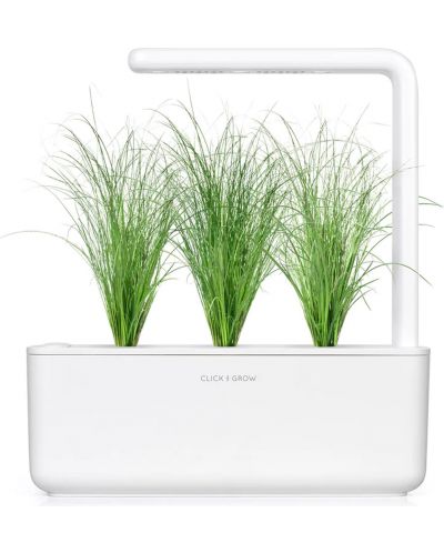 Семена Click and Grow - Декоративна трева, 3 пълнителя - 3