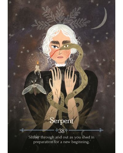 Seasons of the Witch: Imbolc Oracle (44-Card Deck and Guidebook) - 3