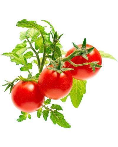Семена Click and Grow - Мини домати, 3 пълнителя - 2
