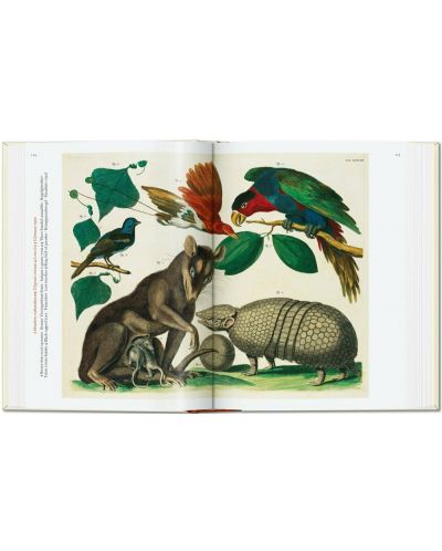 Seba. Cabinet of Natural Curiosities (40th Edition) - 3