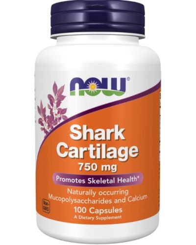 Shark Cartilage, 100 капсули, Now - 1