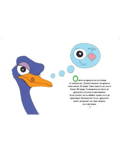 Смешни факти за животните: Птиците - 3