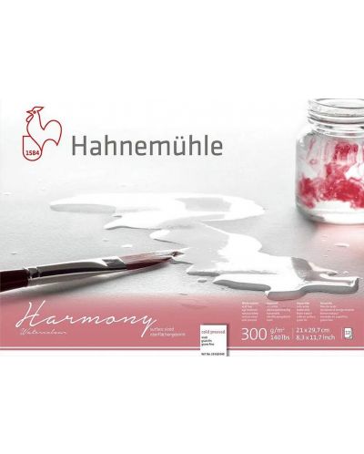 Скицник Hahnemuhle Harmony - А4, студено пресована хартия, 12 листа - 1