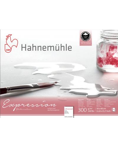 Скицник Hahnemuhle Expression - 30 x 40 cm, студено пресована хартия, 20 листа - 1